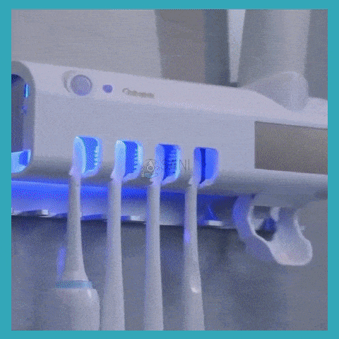 Esterilizador y organizador de Cepillos de Dientes 3 en 1