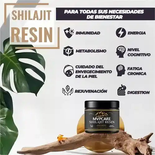 SHILAJIT DEL HIMALAYA